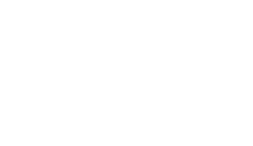 volkswagon-white